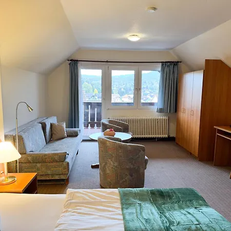 Harzhotel Gruenett Отель
