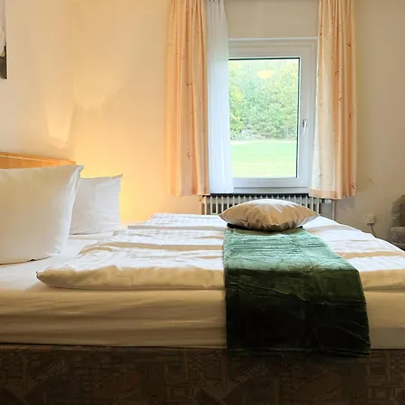 Отель Harzhotel Gruenett 3*