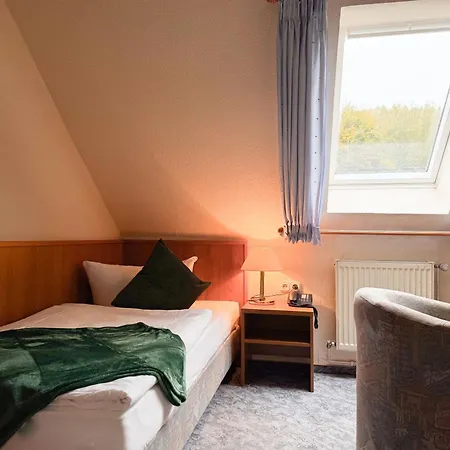 Harzhotel Gruenett Лангельсхайм