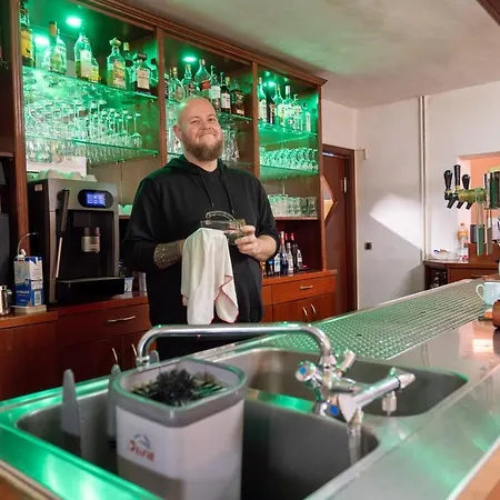 Harzhotel Gruenett Лангельсхайм