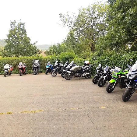 Hotel Harzhotel Gruenett