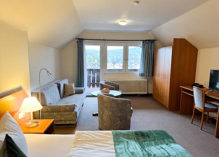 Harzhotel Gruenett Hotell