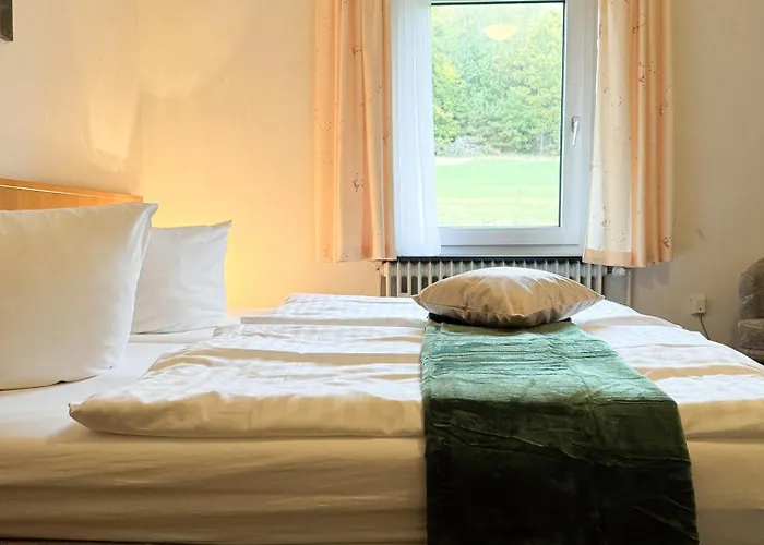 Hotell Harzhotel Gruenett 3*